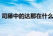 司藤中的達(dá)那在什么地方（司藤電視劇簡介）