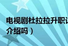 電視劇杜拉拉升職記演員表（有這部劇的詳細介紹嗎）