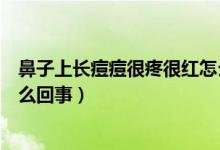 鼻子上長(zhǎng)痘痘很疼很紅怎么回事（鼻子上長(zhǎng)痘痘很疼很紅怎么回事）