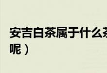 安吉白茶屬于什么茶（安吉白茶屬于什么品種呢）