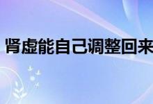 腎虛能自己調(diào)整回來嗎（腎虛能自己恢復(fù)嗎）