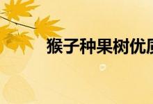 猴子種果樹優(yōu)質課（猴子種果樹）