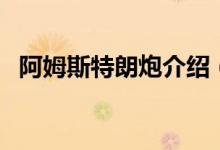阿姆斯特朗炮介紹（阿姆斯特朗炮的簡(jiǎn)介）