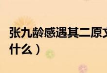 張九齡感遇其二原文（張九齡感遇其二原文是什么）