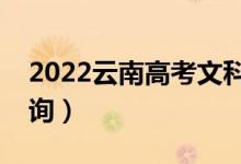 2022云南高考文科一分一段表（成績(jī)排名查詢）