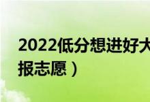 2022低分想進(jìn)好大學(xué)的技巧（低分考生怎么報(bào)志愿）