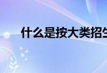 什么是按大類招生（報(bào)考要注意什么）