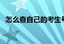 怎么查自己的考生號(hào)（高考報(bào)名號(hào)怎么查）