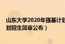 山東大學(xué)2020年強(qiáng)基計(jì)劃招生簡(jiǎn)章（山東大學(xué)2022強(qiáng)基計(jì)劃招生簡(jiǎn)章公布）