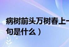 病樹前頭萬樹春上一句（病樹前頭萬樹春上一句是什么）
