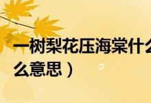 一樹梨花壓海棠什么意思（一樹梨花壓海棠什么意思）