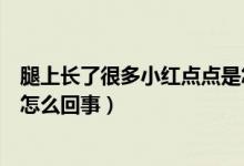 腿上長了很多小紅點點是怎么回事（腿上長了很多小紅點是怎么回事）