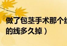 做了包莖手術(shù)那個線多久才能掉（做包莖手術(shù)的線多久掉）