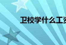 衛(wèi)校學什么工資高（衛(wèi)校學什么）