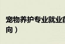 寵物養(yǎng)護(hù)專業(yè)就業(yè)前景怎么樣（有哪些就業(yè)方向）