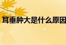 耳垂腫大是什么原因(耳垂腫大是什么原因)