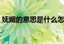嫵媚的意思是什么怎么寫（嫵媚的意思什么）