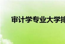 審計學(xué)專業(yè)大學(xué)排名（2022最新排名）