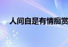 人間自是有情癡賞析（人間自是有情癡）