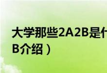 大學(xué)那些2A2B是什么意思?。P(guān)于大學(xué)2A2B介紹）