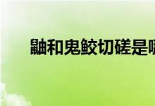 鼬和鬼鮫切磋是哪一集（你知道了嗎）
