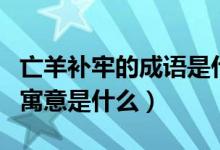 亡羊補(bǔ)牢的成語是什么意思（成語亡羊補(bǔ)牢的寓意是什么）