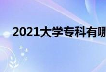 2021大學(xué)?？朴心男W(xué)校（哪些學(xué)校好）