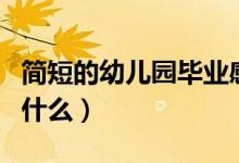 簡短的幼兒園畢業(yè)感言（幼兒園畢業(yè)可以說到什么）