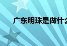 廣東明珠是做什么的（廣東明珠介紹）