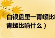 白銀盤里一青螺比喻什么動(dòng)物?（白銀盤里一青螺比喻什么）