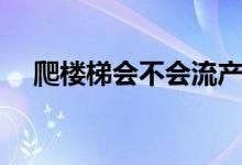 爬樓梯會(huì)不會(huì)流產(chǎn)（爬樓梯會(huì)不會(huì)腿粗）