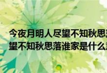 今夜月明人盡望不知秋思落誰家是什么句式（今夜月明人盡望不知秋思落誰家是什么意思）