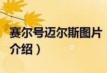 賽爾號(hào)邁爾斯圖片（關(guān)于賽爾號(hào)邁爾斯圖片的介紹）