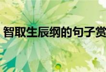 智取生辰綱的句子賞析（智取生辰綱的是誰(shuí)）