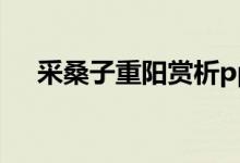 采桑子重陽賞析ppt（采桑子重陽賞析）