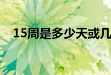 15周是多少天或幾個月（15周是幾個月）