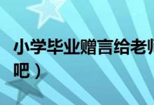 小學(xué)畢業(yè)贈(zèng)言給老師內(nèi)容（大家一起來了解下吧）