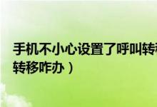 手機不小心設(shè)置了呼叫轉(zhuǎn)移怎么辦（手機不小心設(shè)置了呼叫轉(zhuǎn)移咋辦）