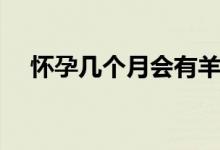 懷孕幾個(gè)月會(huì)有羊水（懷孕幾個(gè)月會(huì)吐）