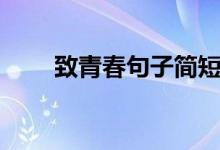 致青春句子簡短的（青春勵(lì)志短句）