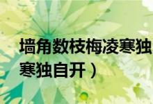 墻角數(shù)枝梅凌寒獨自開圖片（墻角數(shù)枝梅 凌寒獨自開）