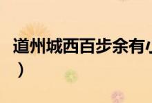 道州城西百步余有小溪翻譯（道州城西百余步）