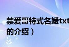 禁愛哥特式名媛txt（關(guān)于禁愛哥特式名媛txt的介紹）