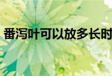 番瀉葉可以放多長時(shí)間（番瀉葉可以減肥嗎）