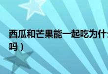 西瓜和芒果能一起吃為什么會拉肚子（西瓜和芒果能一起吃嗎）