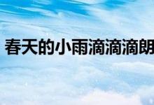 春天的小雨滴滴滴朗誦（春天的小雨滴滴滴）