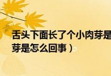 舌頭下面長(zhǎng)了個(gè)小肉芽是怎么回事?（舌頭下面長(zhǎng)了個(gè)小肉芽是怎么回事）