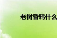 老樹昏鴉什么意思（老樹昏鴉）