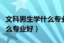 文科男生學什么專業(yè)好找工作（文科男生學什么專業(yè)好）