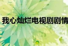 我心燦爛電視劇劇情（我心燦爛電視劇介紹）